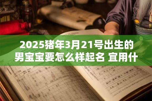 2025猪年3月21号出生的男宝宝要怎么样起名 宜用什么字