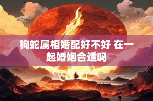 狗蛇属相婚配好不好 在一起婚姻合适吗