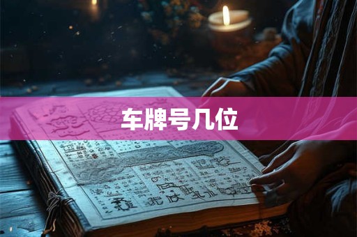 车牌号几位