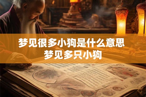 梦见很多小狗是什么意思 梦见多只小狗