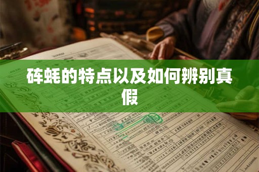 砗蚝的特点以及如何辨别真假