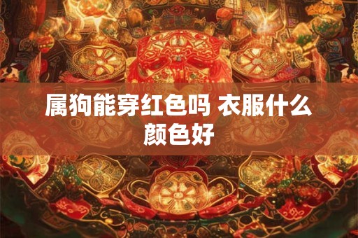属狗能穿红色吗 衣服什么颜色好
