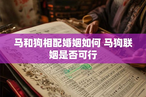 马和狗相配婚姻如何 马狗联姻是否可行