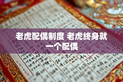 老虎配偶制度 老虎终身就一个配偶