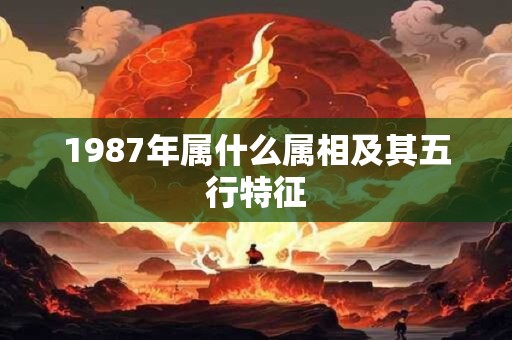1987年属什么属相及其五行特征