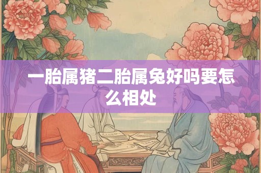 一胎属猪二胎属兔好吗要怎么相处