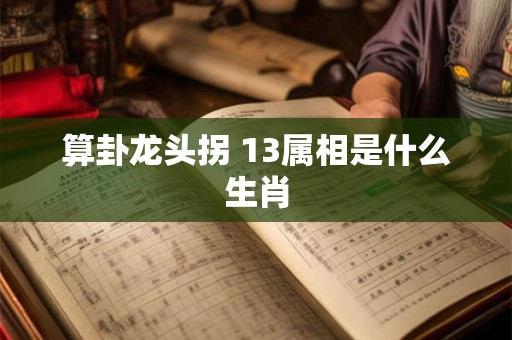 算卦龙头拐 13属相是什么生肖