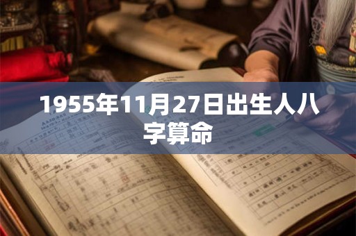 1955年11月27日出生人八字算命