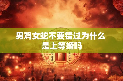 男鸡女蛇不要错过为什么 是上等婚吗