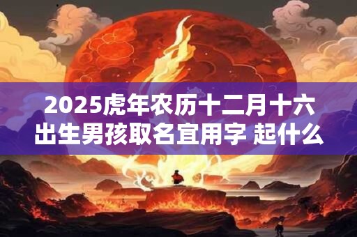 2025虎年农历十二月十六出生男孩取名宜用字 起什么名字好