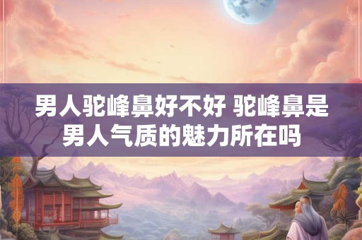 男人驼峰鼻好不好 驼峰鼻是男人气质的魅力所在吗