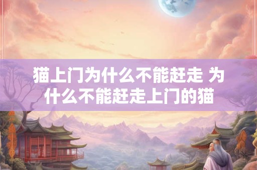 猫上门为什么不能赶走 为什么不能赶走上门的猫