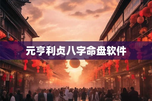元亨利贞八字命盘软件