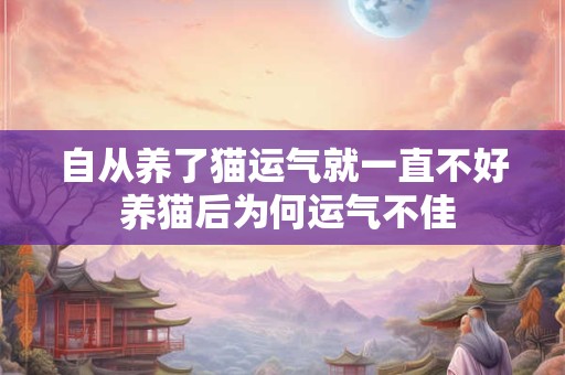 自从养了猫运气就一直不好 养猫后为何运气不佳