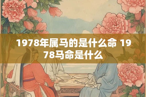 1978年属马的是什么命 1978马命是什么