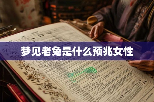 梦见老兔是什么预兆女性