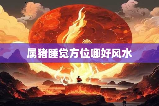 属猪睡觉方位哪好风水