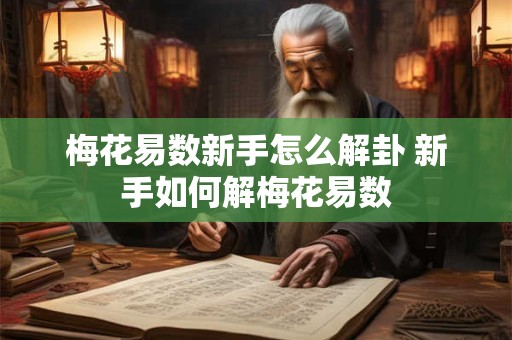 梅花易数新手怎么解卦 新手如何解梅花易数
