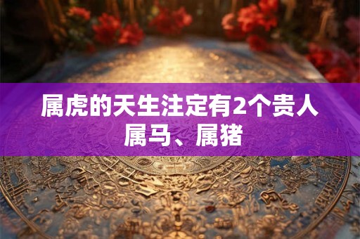 属虎的天生注定有2个贵人 属马、属猪