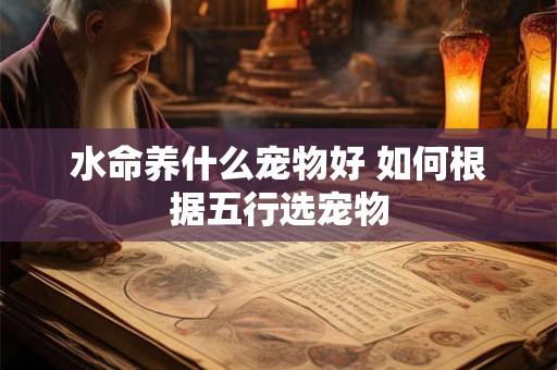 水命养什么宠物好 如何根据五行选宠物