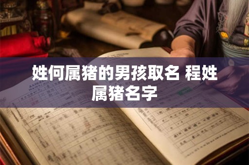 姓何属猪的男孩取名 程姓属猪名字