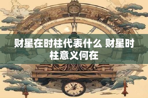 财星在时柱代表什么 财星时柱意义何在