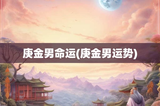 庚金男命运(庚金男运势)