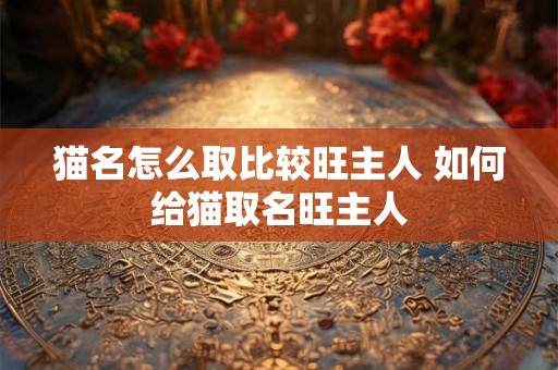 猫名怎么取比较旺主人 如何给猫取名旺主人