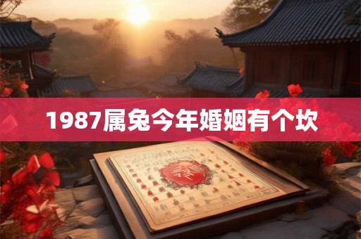1987属兔今年婚姻有个坎