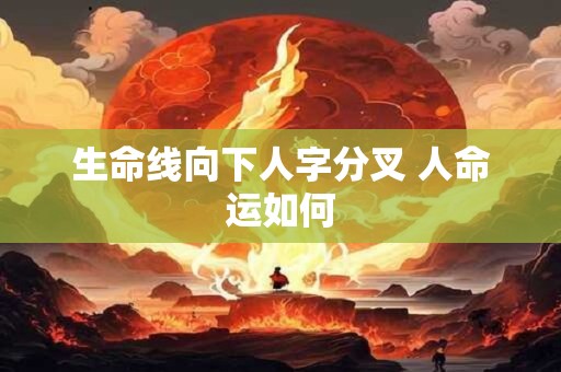 生命线向下人字分叉 人命运如何