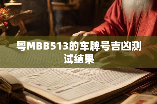粤MBB513的车牌号吉凶测试结果