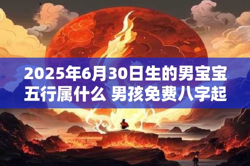 2025年6月30日生的男宝宝五行属什么 男孩免费八字起名