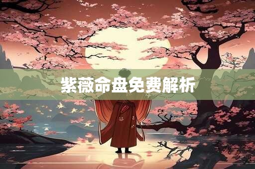 紫薇命盘免费解析