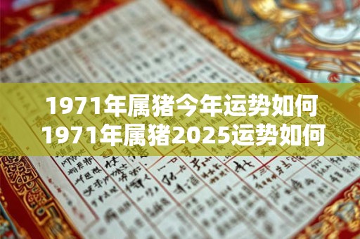 1971年属猪今年运势如何 1971年属猪2025运势如何