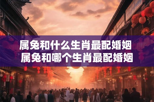 属兔和什么生肖最配婚姻 属兔和哪个生肖最配婚姻