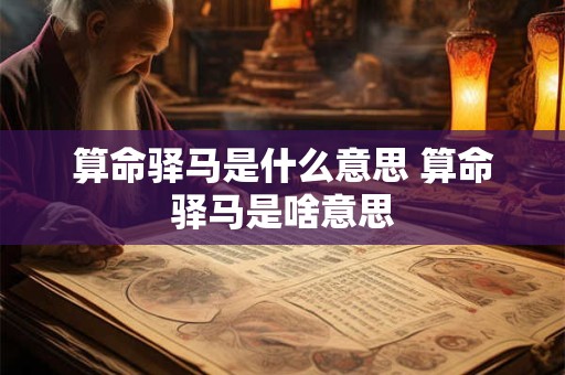 算命驿马是什么意思 算命驿马是啥意思