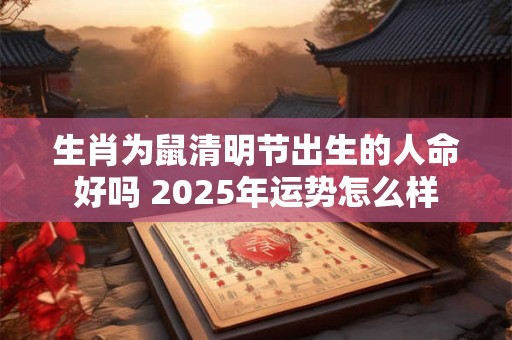 生肖为鼠清明节出生的人命好吗 2025年运势怎么样