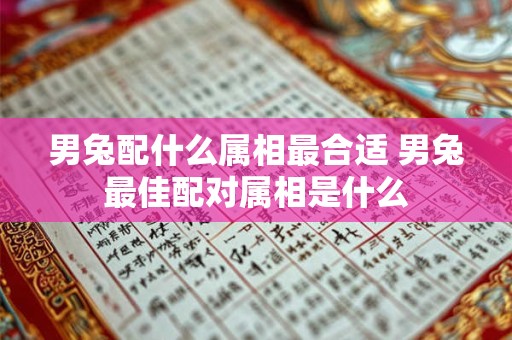 男兔配什么属相最合适 男兔最佳配对属相是什么