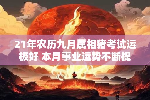 21年农历九月属相猪考试运极好 本月事业运势不断提升