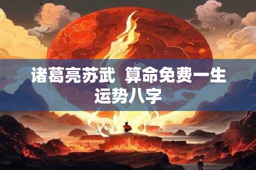 诸葛亮苏武  算命免费一生运势八字