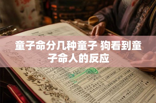 童子命分几种童子 狗看到童子命人的反应