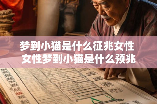梦到小猫是什么征兆女性 女性梦到小猫是什么预兆