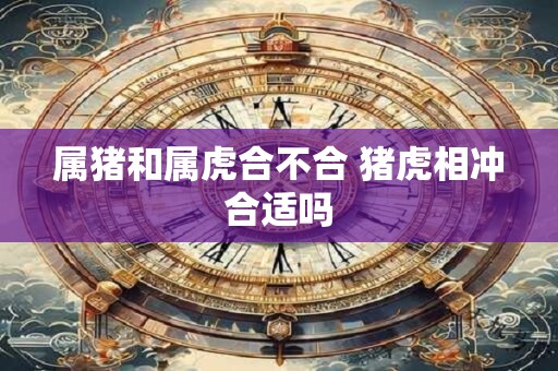 属猪和属虎合不合 猪虎相冲合适吗