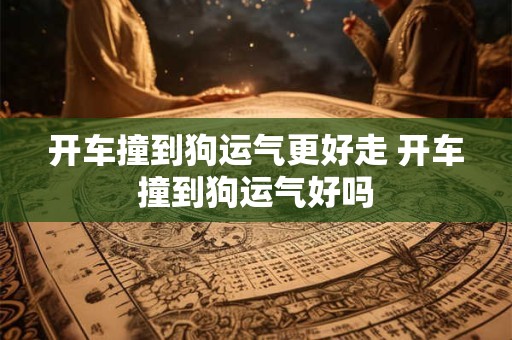 开车撞到狗运气更好走 开车撞到狗运气好吗