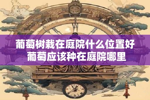 葡萄树栽在庭院什么位置好 葡萄应该种在庭院哪里