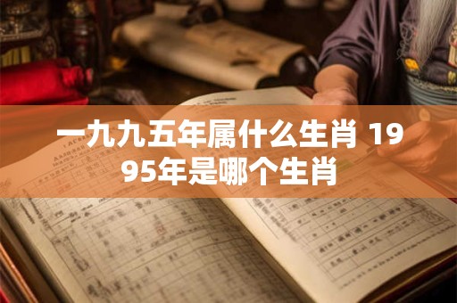 一九九五年属什么生肖 1995年是哪个生肖