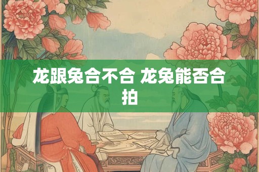 龙跟兔合不合 龙兔能否合拍