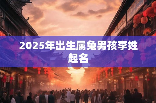 2025年出生属兔男孩李姓起名