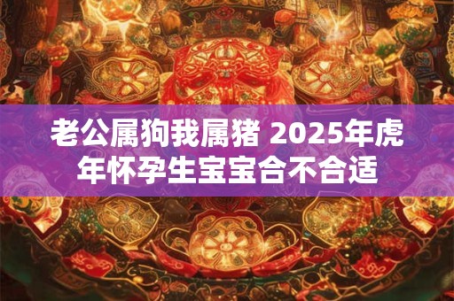 老公属狗我属猪 2025年虎年怀孕生宝宝合不合适