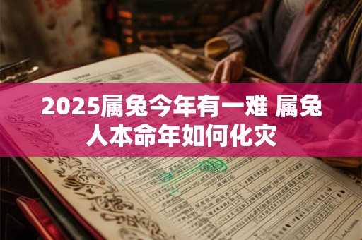 2025属兔今年有一难 属兔人本命年如何化灾